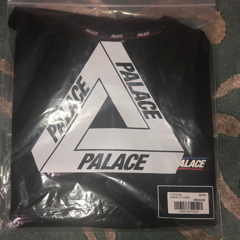 PALACE - Picture 5 of 5